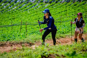 BIB: 
                            <button type="button" onclick="openModal(19164189)" class="btn btn-primary btn-sm float-right btn-popup" data-toggle="modal" data-target=".modal-high-quality">
                        <i class="fas fa-shopping-cart"></i> Add to Cart
                    </button>
                                            <button type="button" onclick="isThisMe(19164189, true)" class="btn btn-success btn-sm float-right btn-popup btn-isme hidden" data-toggle="tooltip" data-placement="bottom" title="นี่คือรูปของคุณใช่ไหม คลิกที่นี่เพื่อเอาเข้าอัลบั้ม">
                        <i class="fas fa-plus"></i> Add to album
                    </button>
                    <button type="button" onclick="isThisMe(19164189, false)" class="btn btn-warning btn-sm float-right btn-popup btn-isnotme hidden">
                        <i class="fas fa-ban"></i> Remove from album
                    </button>